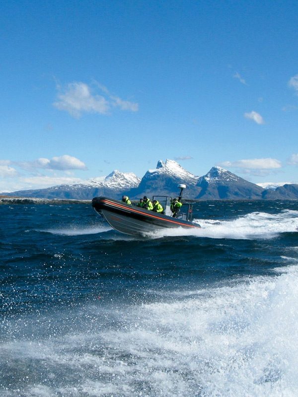 RIB1