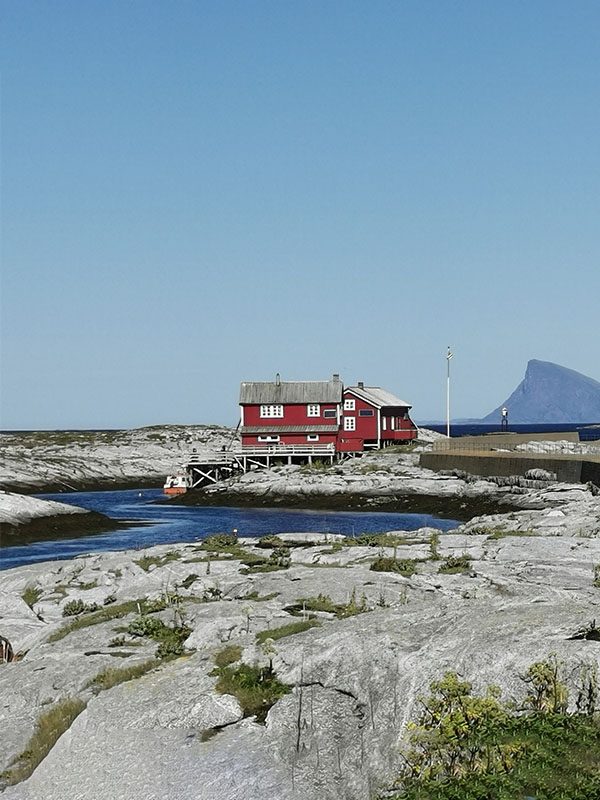 seloy_0002_safari 1 Sandsundvær copy